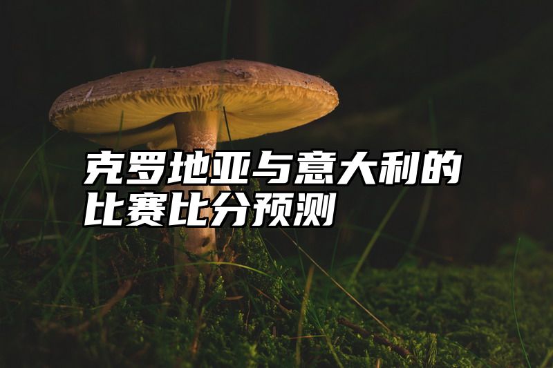 克罗地亚与意大利的比赛比分预测