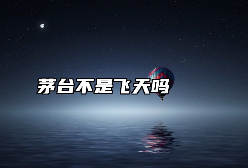 茅台不是飞天吗