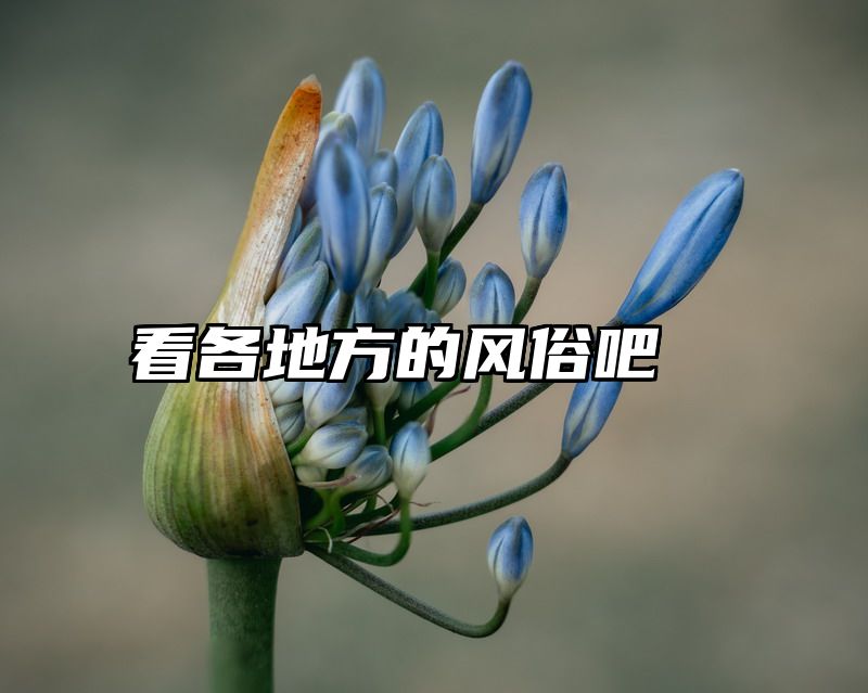 看各地方的风俗吧