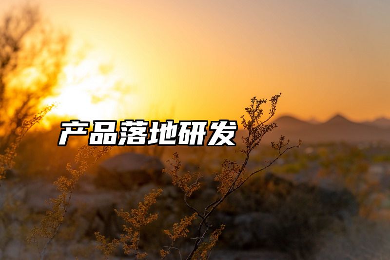 产品落地研发