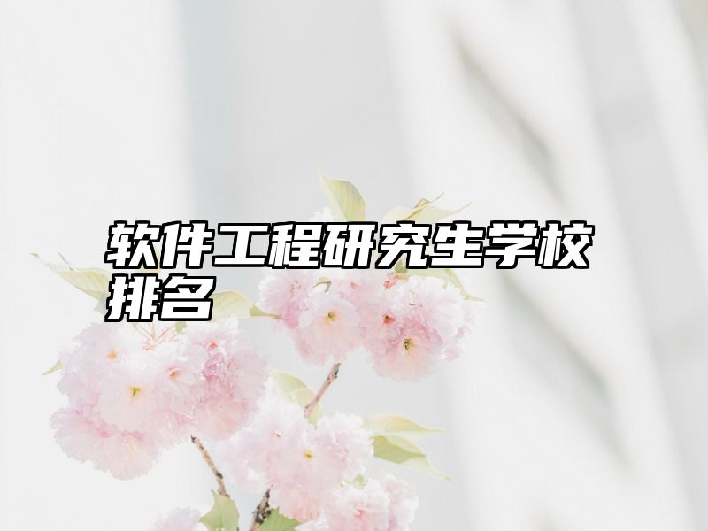 软件工程研究生学校排名