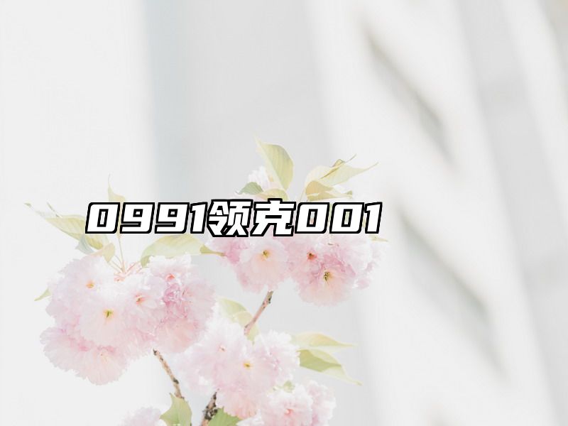 0991领克001