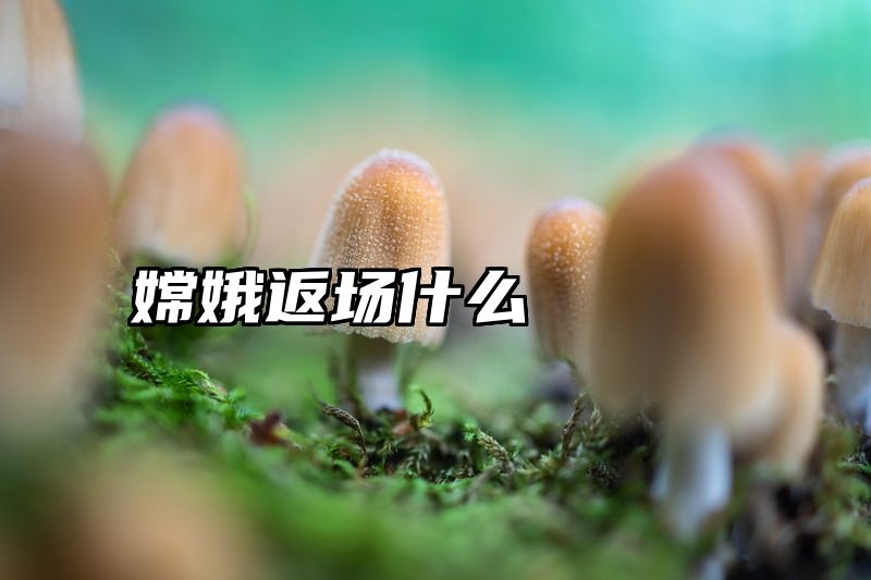 嫦娥返场什么