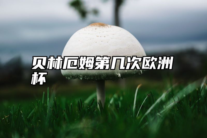 点击查看《贝林厄姆第几次欧洲杯》全文
