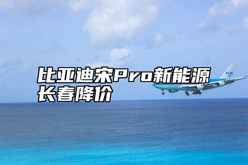 比亚迪宋Pro新能源长春降价