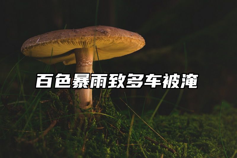 百色暴雨致多车被淹