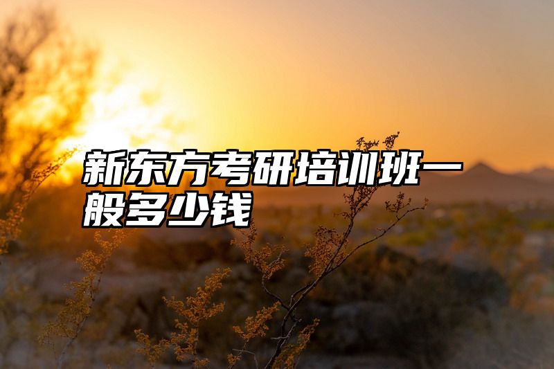 新东方考研培训班一般多少钱