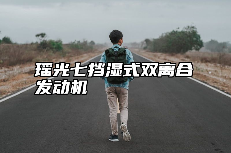 点击查看《瑶光七挡湿式双离合发动机》全文