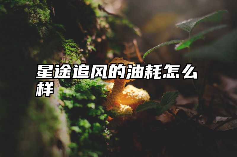 星途追风的油耗怎么样
