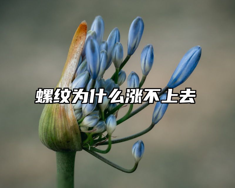 螺纹为什么涨不上去