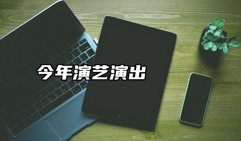 今年演艺演出