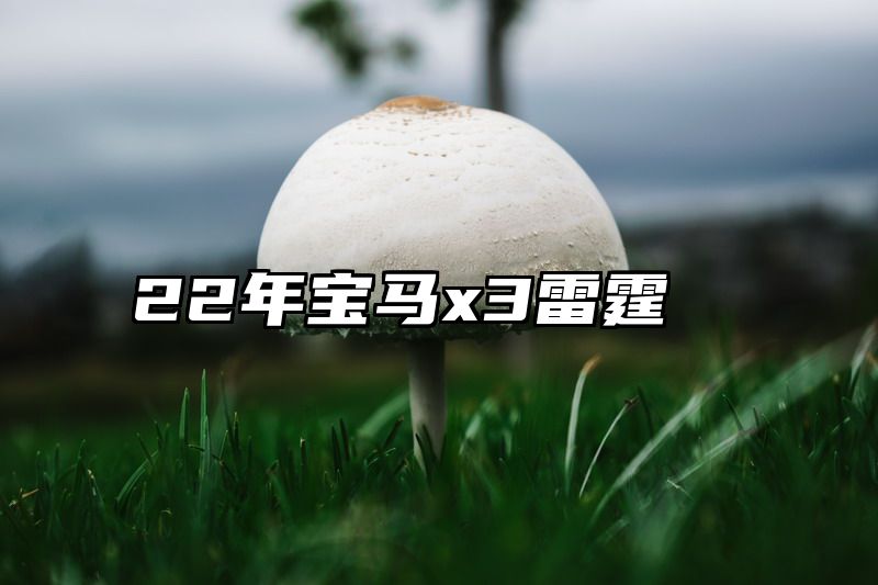 点击查看《22年宝马x3雷霆》全文