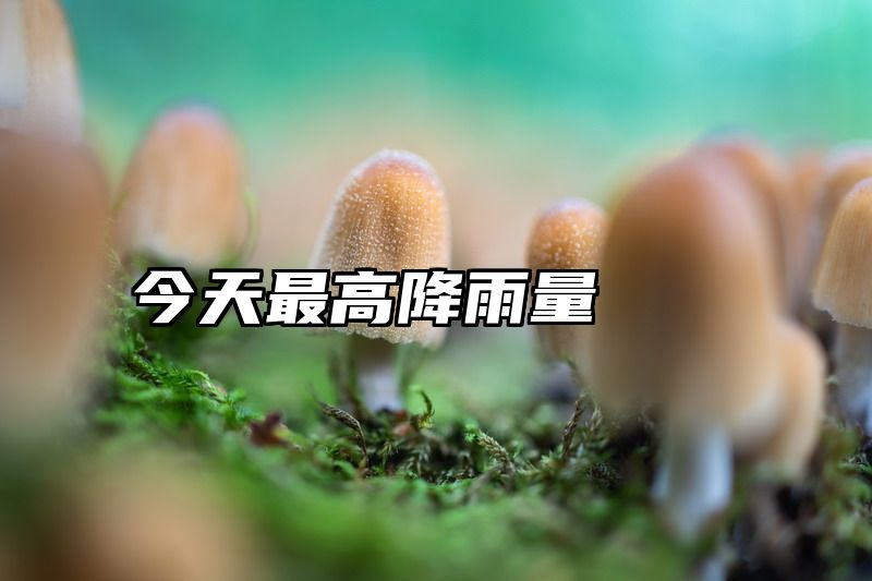 今天最高降雨量