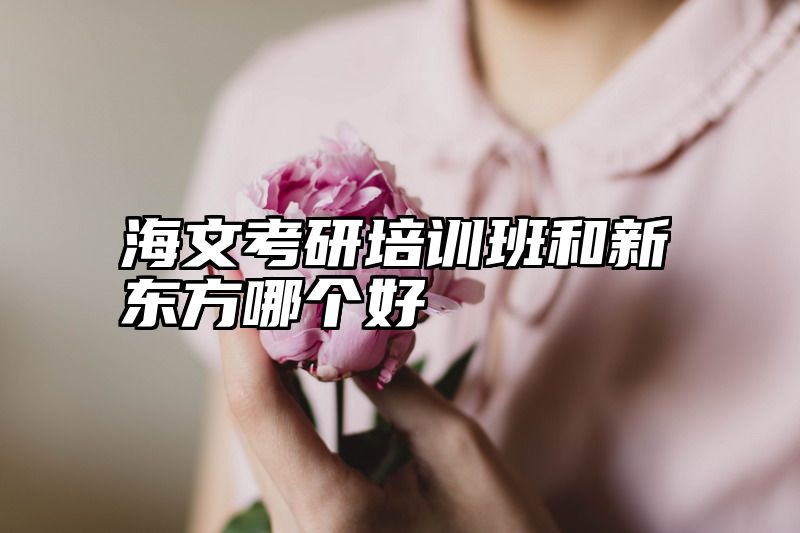 点击查看《海文考研培训班和新东方哪个好》全文