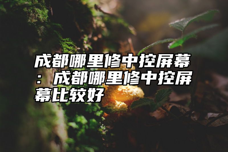 成都哪里修中控屏幕：成都哪里修中控屏幕比较好