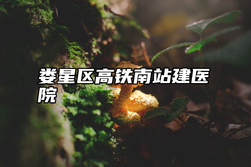 娄星区高铁南站建医院