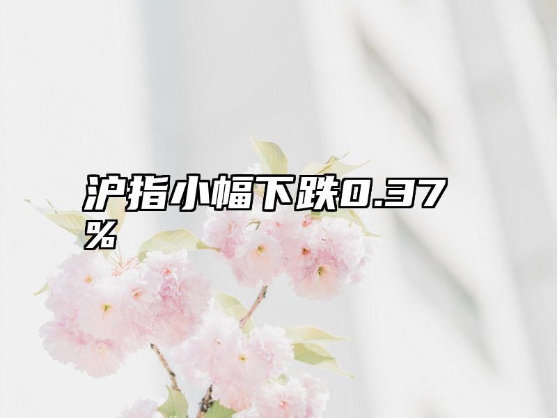 沪指小幅下跌0.37%