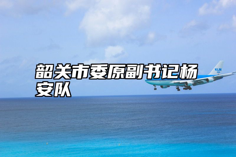 韶关市委原副书记杨安队