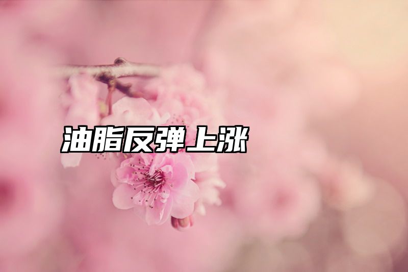 油脂反弹上涨