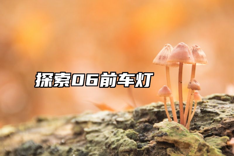 探索06前车灯