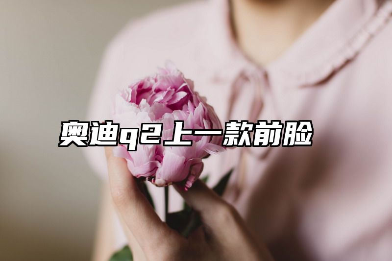 奥迪q2上一款前脸