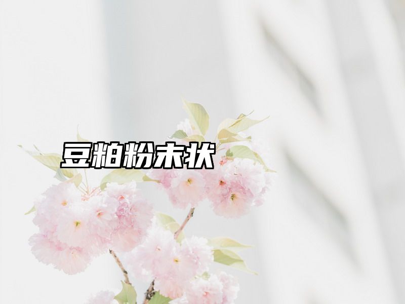 豆粕粉末状
