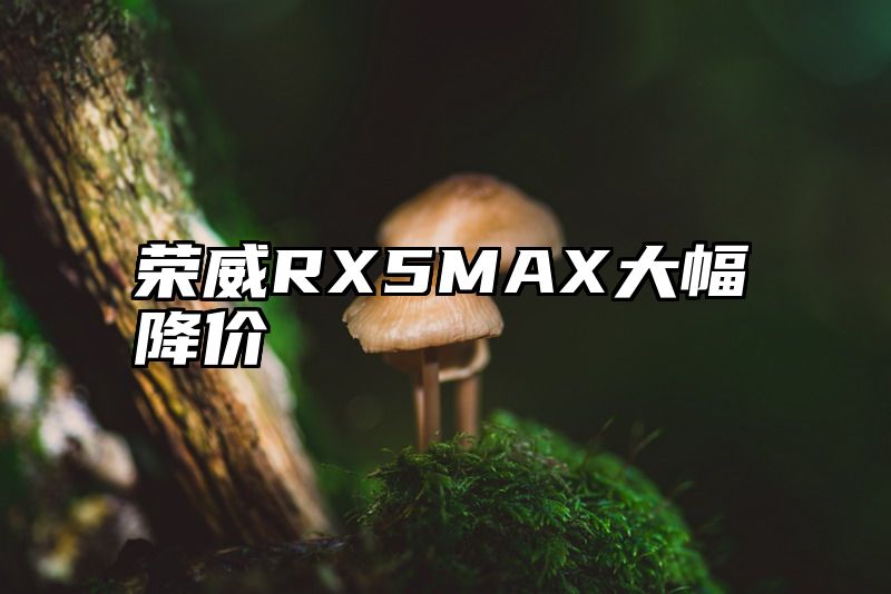 荣威RX5MAX大幅降价