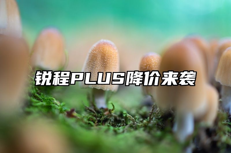 锐程PLUS降价来袭