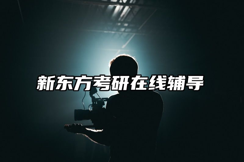 点击查看《新东方考研在线辅导》全文