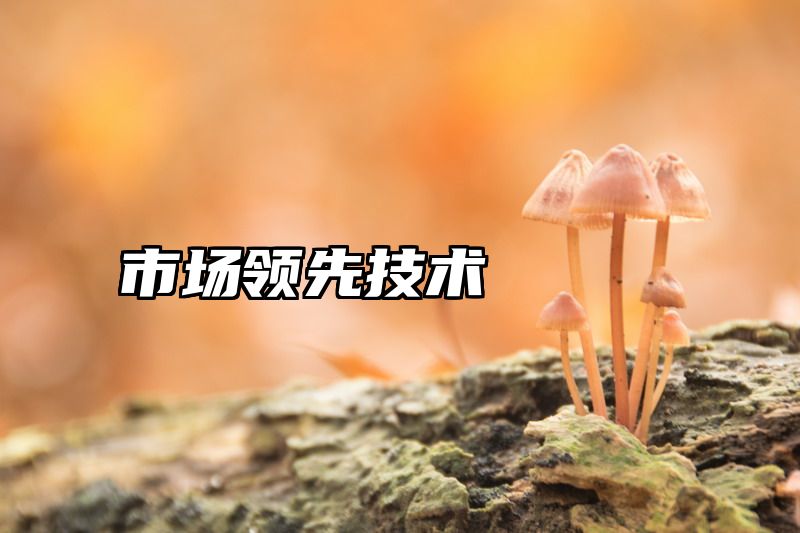 市场领先技术