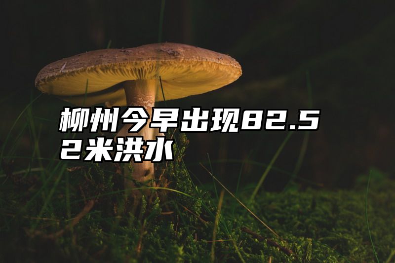 柳州今早出现82.52米洪水