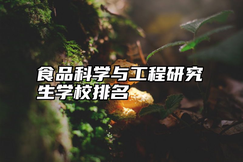 食品科学与工程研究生学校排名