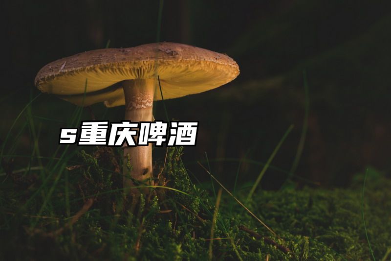 s重庆啤酒