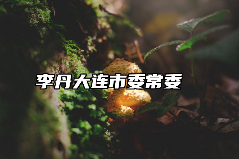 李丹大连市委常委