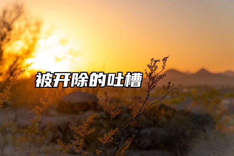 被开除的吐槽