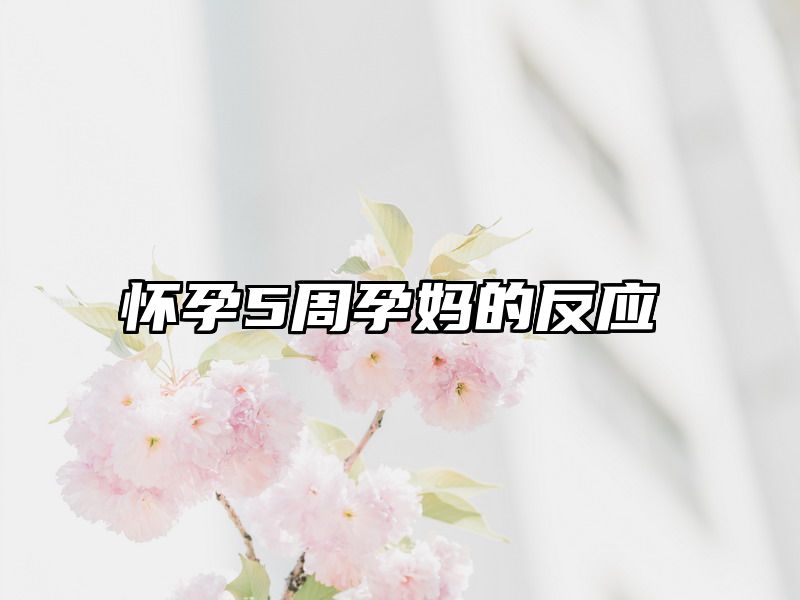 怀孕5周孕妈的反应