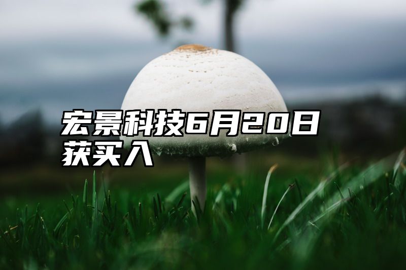 宏景科技6月20日获买入