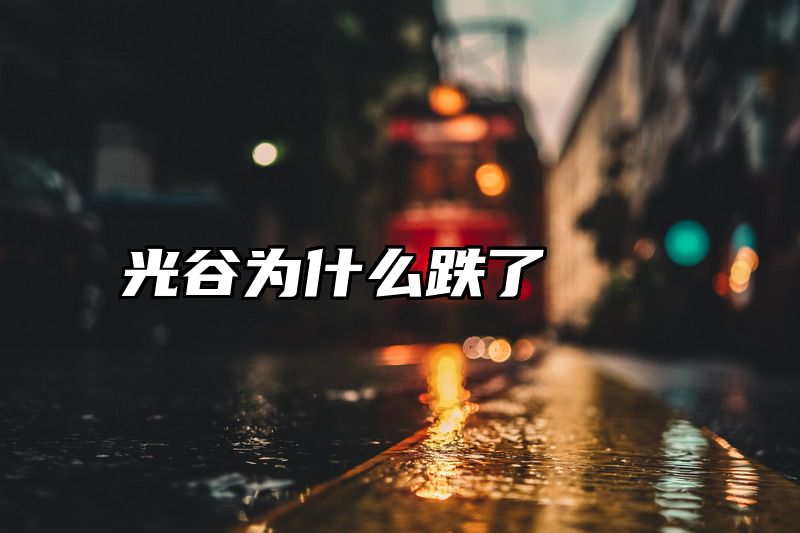 光谷为什么跌了