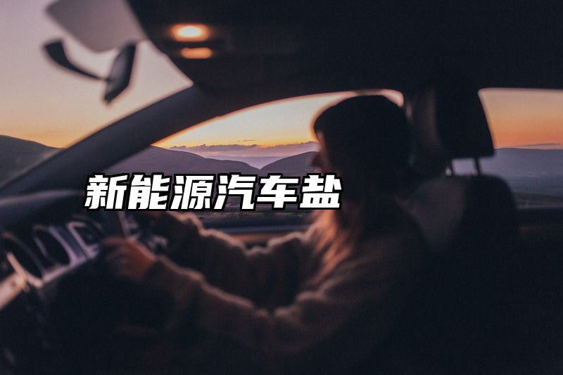 新能源汽车盐