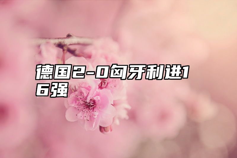 德国2-0匈牙利进16强