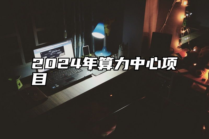 2024年算力中心项目
