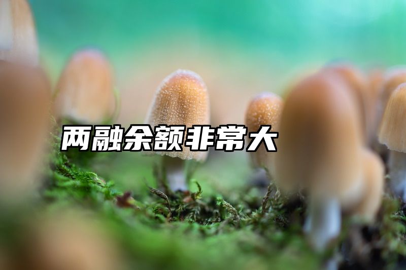 两融余额非常大