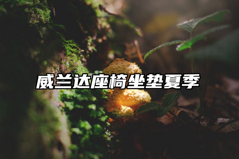 威兰达座椅坐垫夏季