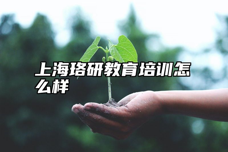 上海珞研教育培训怎么样