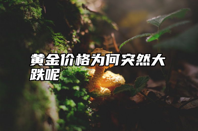 黄金价格为何突然大跌呢