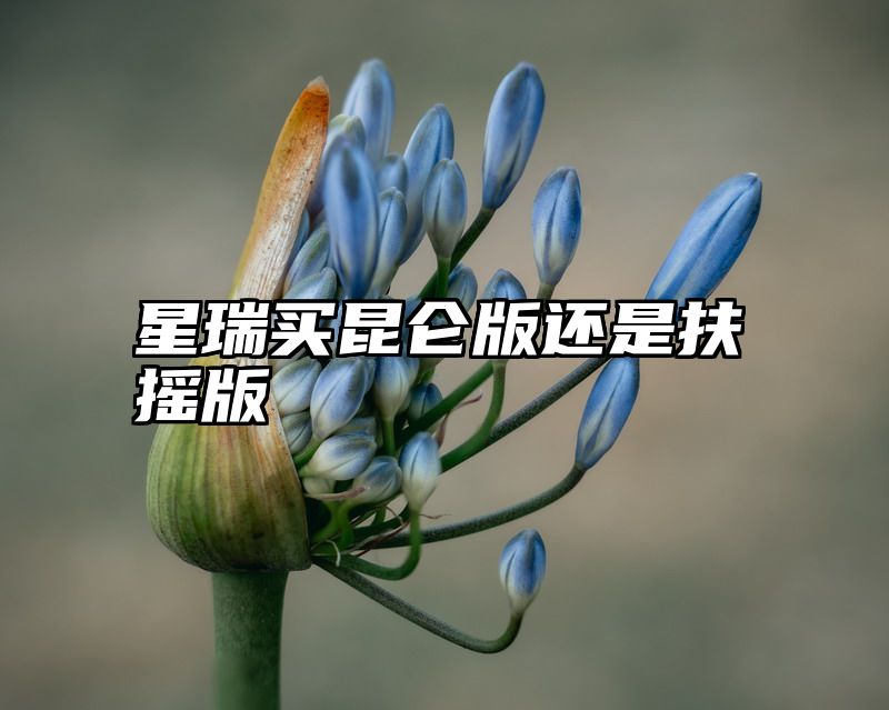 星瑞买昆仑版还是扶摇版