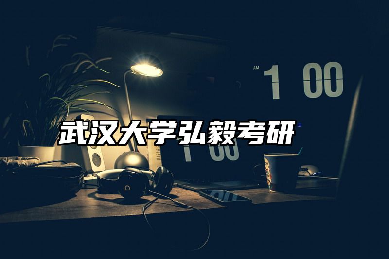 武汉大学弘毅考研