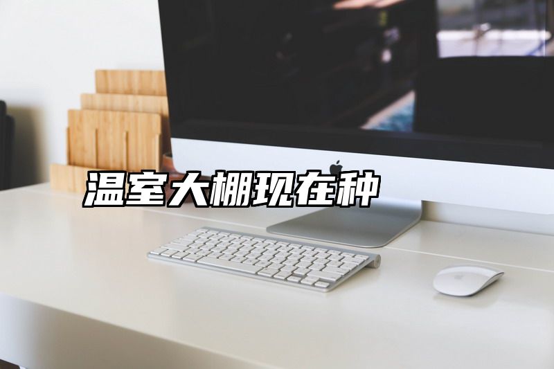 温室大棚现在种