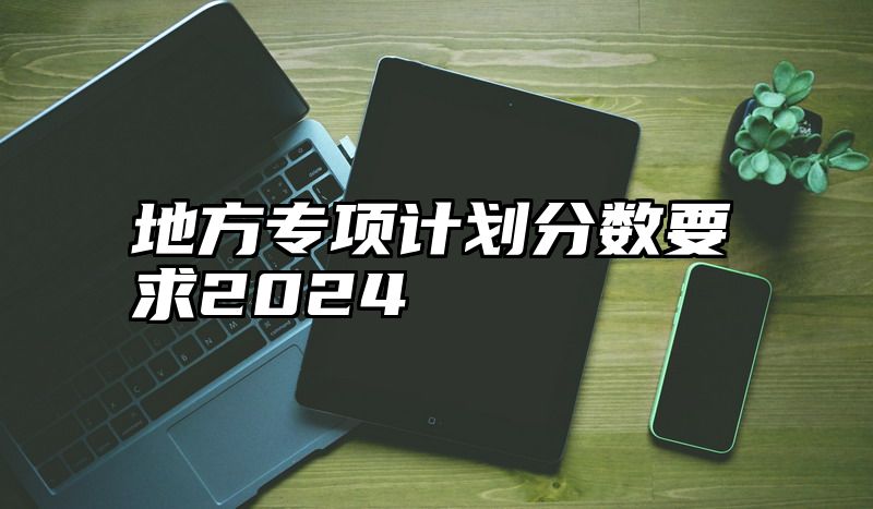 地方专项计划分数要求2024