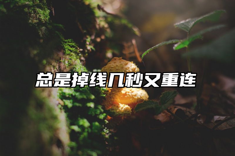 总是掉线几秒又重连